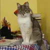 Отзыв от София Коровина